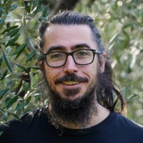 Michele Palamidessi